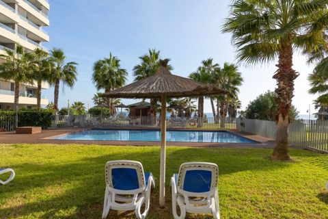 Penthouse i Punta Prima, Alicante, Punta Prima - € 765 000 | Ref: MLSC3529493 - foto 45