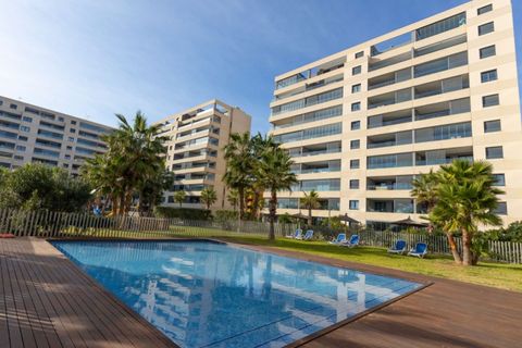 Penthouse i Punta Prima, Alicante, Punta Prima - € 765 000 | Ref: MLSC3529493 - foto 46