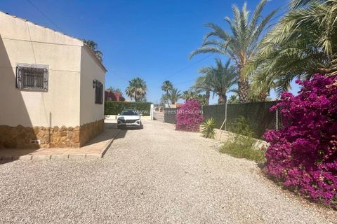Landejendom i Catral, Alicante, Catral - € 360.000 | Ref: PCE-1457 - foto 46