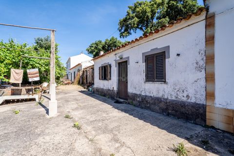 Landejendom i Monchique, Faro, Monchique - € 180.000 | Ref: 119260047 - foto 3