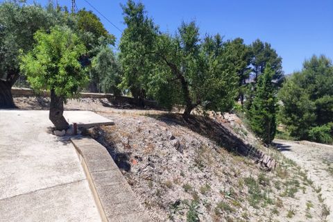 Landejendom i Cocentaina, Alicante, Cocentaina - € 139.000 | Ref: 3022 - foto 23