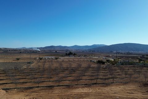 Villa i Pinoso, Alicante, Pinoso - € 379.000 | Ref: AMAM-PNDPAL - foto 32