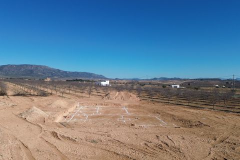 Villa i Pinoso, Alicante, Pinoso - € 379.000 | Ref: AMAM-PNDPAL - foto 33