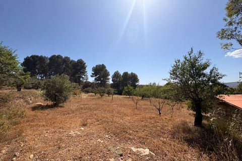 Landejendom i Biar, Alicante, Biar - € 136.000 | Ref: JJAD7263 - foto 10