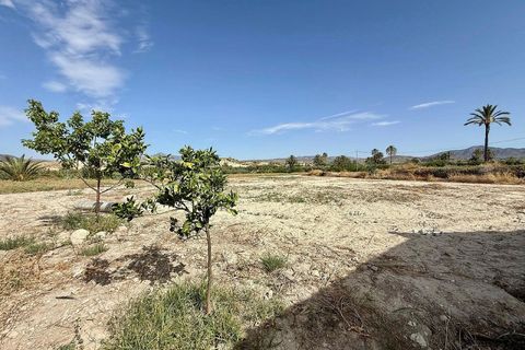 Villa i Abanilla, Murcia, Abanilla - € 250.000 | Ref: ELS9091 - foto 6