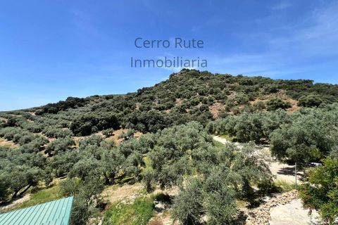 Cortijo i Rute, Cordoba, Rute - € 219.000 | Ref: 019 - foto 27