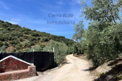 Cortijo i Rute, Cordoba, Rute - € 219.000 | Ref: 019 - foto 29