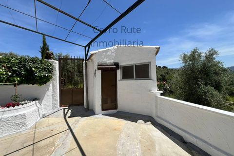 Cortijo i Rute, Cordoba, Rute - € 219.000 | Ref: 019 - foto 19