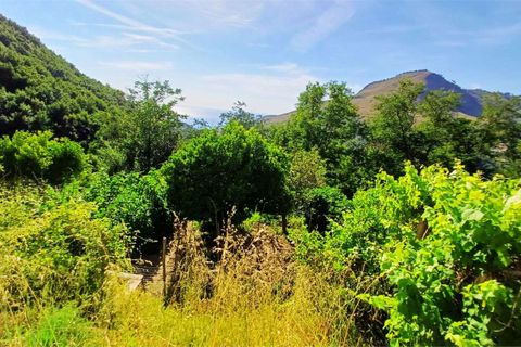 Apartament a Cetraro, Cosenza, Cetraro - € 35.000 | Ref: 1583 - foto 5