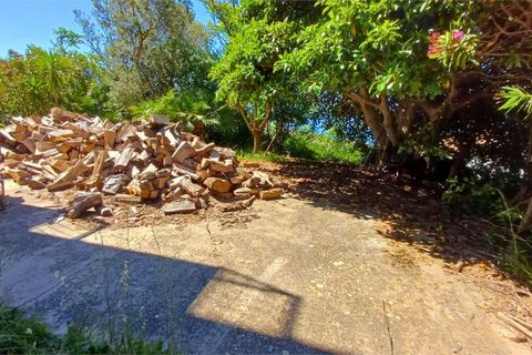 Lejlighed i Cetraro, Cosenza, Cetraro - € 70.000 | Ref: V001575 - foto 32