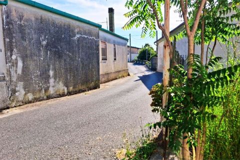 Byhus i Acquappesa, Cosenza, Acquappesa - € 60.000 | Ref: 1585 - foto 22
