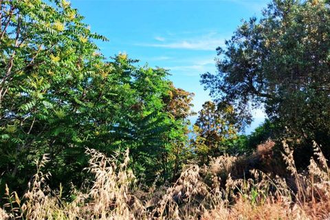 Byhus i Acquappesa, Cosenza, Acquappesa - € 60.000 | Ref: 1585 - foto 26