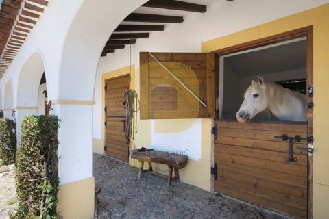 Villa a Monforte, Portalegre, Monforte - € 3.200.000 | Ref: PB2026512 - foto 2