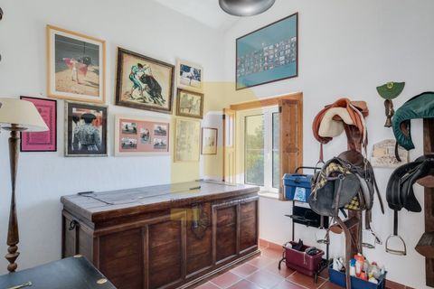 Villa a Monforte, Portalegre, Monforte - € 3.200.000 | Ref: PB2026512 - foto 3