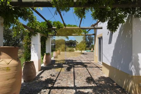 Villa a Monforte, Portalegre, Monforte - € 3.200.000 | Ref: PB2026512 - foto 12