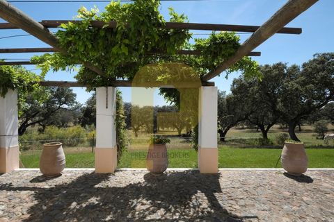 Villa a Monforte, Portalegre, Monforte - € 3.200.000 | Ref: PB2026512 - foto 33