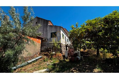 Farm i Cavadoude, Guarda, Cavadoude - € 110.000 | Ref: MAS_134 - foto 2
