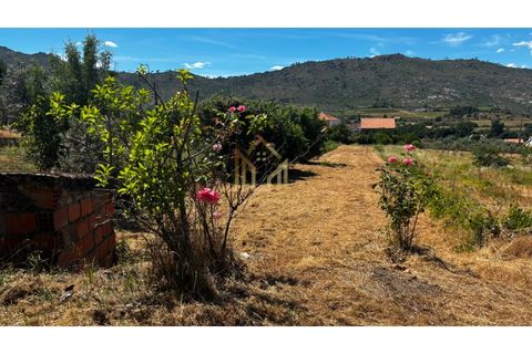 Farm i Cavadoude, Guarda, Cavadoude - € 110.000 | Ref: MAS_134 - foto 13