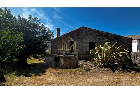 Farm i Cavadoude, Guarda, Cavadoude - € 110.000 | Ref: MAS_134 - foto 14