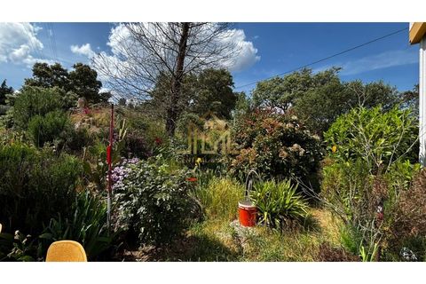 Granja a Guarda, Guarda, Guarda - € 60.000 | Ref: FIN_133 - foto 10