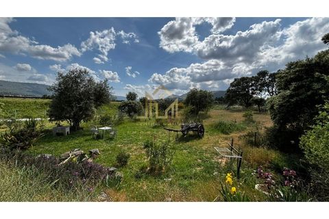 Granja a Guarda, Guarda, Guarda - € 60.000 | Ref: FIN_133 - foto 11