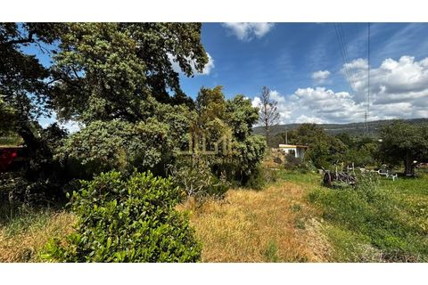 Granja a Guarda, Guarda, Guarda - € 60.000 | Ref: FIN_133 - foto 12