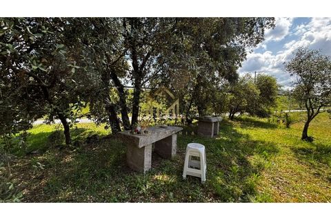 Granja a Guarda, Guarda, Guarda - € 60.000 | Ref: FIN_133 - foto 14