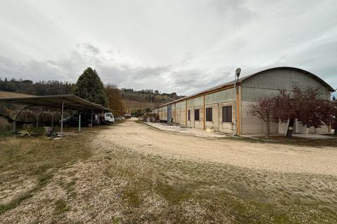 Propriedade comercial em Fermo, Fermo, Fermo - € 300.000 | Ref: AQ23 - foto 10