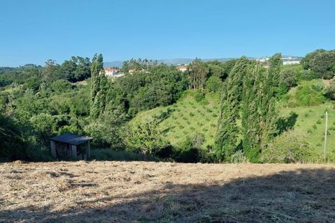 Terra a Alcacovas, Evora, Alcacovas - € 48.000 | Ref: 0563-01906 - foto 2