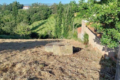 Terra a Alcacovas, Evora, Alcacovas - € 48.000 | Ref: 0563-01906 - foto 3