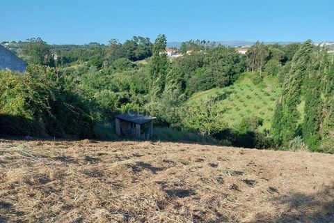 Terra a Alcacovas, Evora, Alcacovas - € 48.000 | Ref: 0563-01906 - foto 4