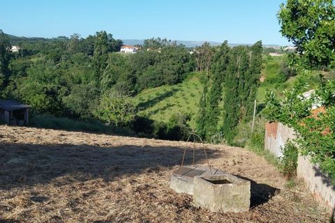 Terra a Alcacovas, Evora, Alcacovas - € 48.000 | Ref: 0563-01906 - foto 5