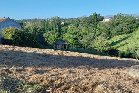Terra a Alcacovas, Evora, Alcacovas - € 48.000 | Ref: 0563-01906 - foto 7