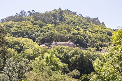 Villa i Sintra, Lisbon, Sintra - € 12.000.000 | Ref: PAL_1878 - foto 6