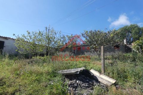 Helårsgrund i Mafra, Lisbon, Mafra - € 230.000 | Ref: M3697 TVD - foto 5