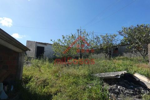Helårsgrund i Mafra, Lisbon, Mafra - € 230.000 | Ref: M3697 TVD - foto 7