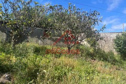 Helårsgrund i Mafra, Lisbon, Mafra - € 230.000 | Ref: M3697 TVD - foto 9