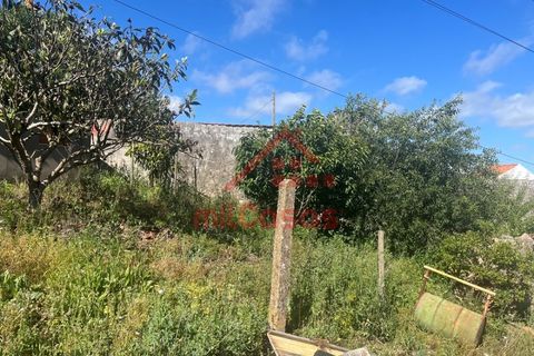 Helårsgrund i Mafra, Lisbon, Mafra - € 230.000 | Ref: M3697 TVD - foto 10