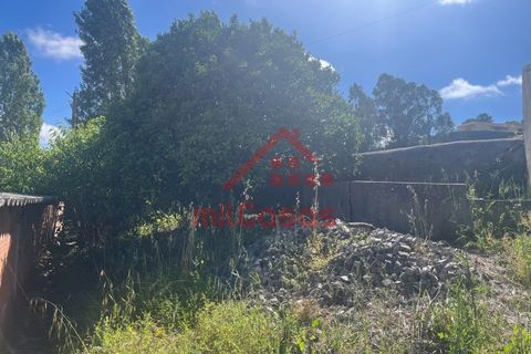 Helårsgrund i Mafra, Lisbon, Mafra - € 230.000 | Ref: M3697 TVD - foto 13