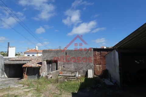 Helårsgrund i Mafra, Lisbon, Mafra - € 230.000 | Ref: M3697 TVD - foto 15