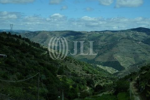Villa a Castanheiro do Sul, Viseu, Castanheiro do Sul - € 160.000 | Ref: 98181 - foto 5