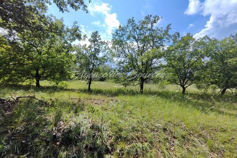 Terra a Varages, Var, Varages - € 16.500 | Ref: 1719 - foto 2