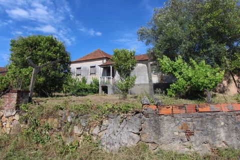 Farm i Tabua, Coimbra, Tabua - € 99.000 | Ref: FIN_1035 - foto 1