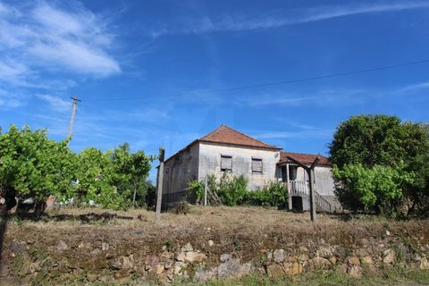 Farm i Tabua, Coimbra, Tabua - € 99.000 | Ref: FIN_1035 - foto 3