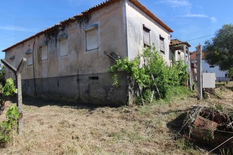 Farm i Tabua, Coimbra, Tabua - € 99.000 | Ref: FIN_1035 - foto 4