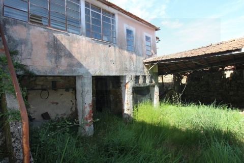 Farm i Tabua, Coimbra, Tabua - € 99.000 | Ref: FIN_1035 - foto 6