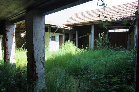 Farm i Tabua, Coimbra, Tabua - € 99.000 | Ref: FIN_1035 - foto 18