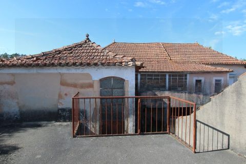 Farm i Tabua, Coimbra, Tabua - € 99.000 | Ref: FIN_1035 - foto 19