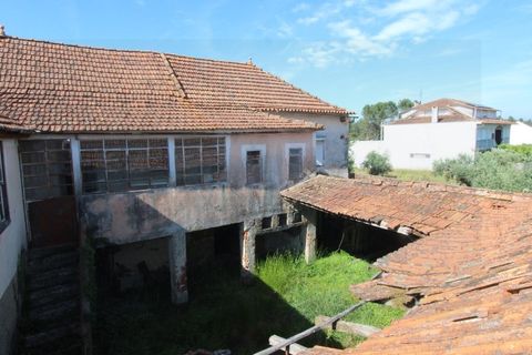 Farm i Tabua, Coimbra, Tabua - € 99.000 | Ref: FIN_1035 - foto 20