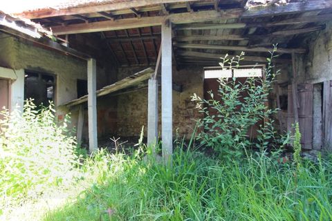 Farm i Tabua, Coimbra, Tabua - € 99.000 | Ref: FIN_1035 - foto 21